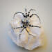 Beaded wire spider ornament featuring black seed beads, silver metal accents, and crystal-style details.